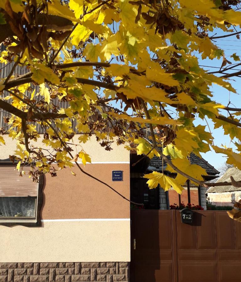Apartman Sokica Bizovac Esterno foto